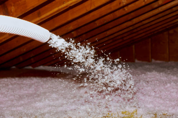 Best Insulation Inspection Services  in Rheems, PA