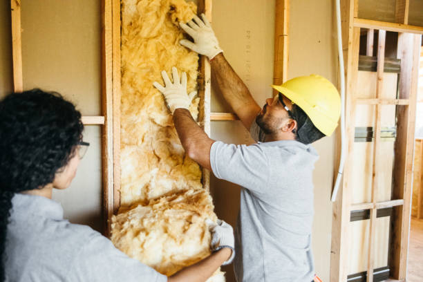 Best Energy-efficient Insulation  in Rheems, PA